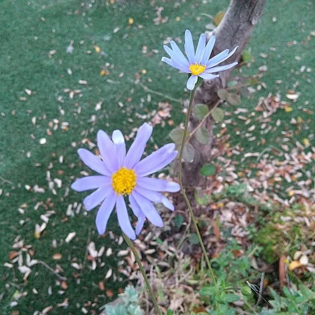 Rさんの実例写真