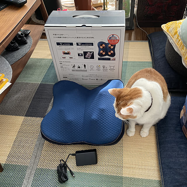 porinさんの実例写真