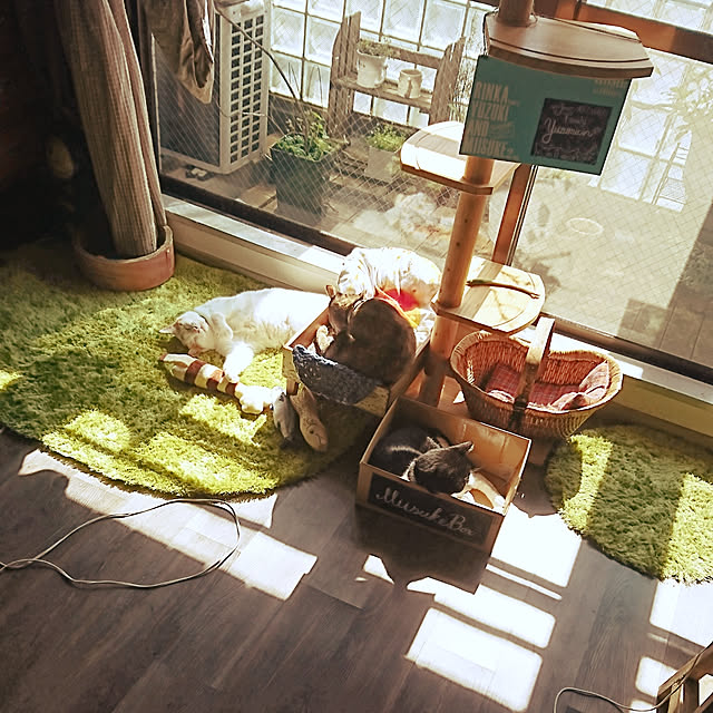 Kazukiさんの実例写真