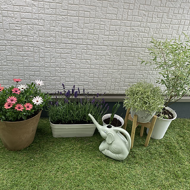 minoさんの実例写真