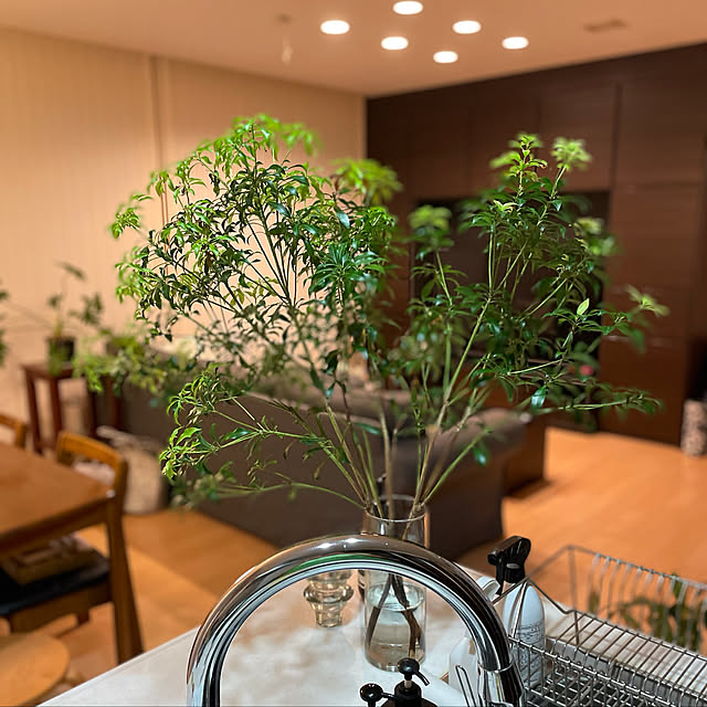 部屋全体のインテリア実例 - 2021-06-19 08:38:24