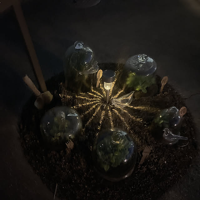 Ohigeさんの部屋