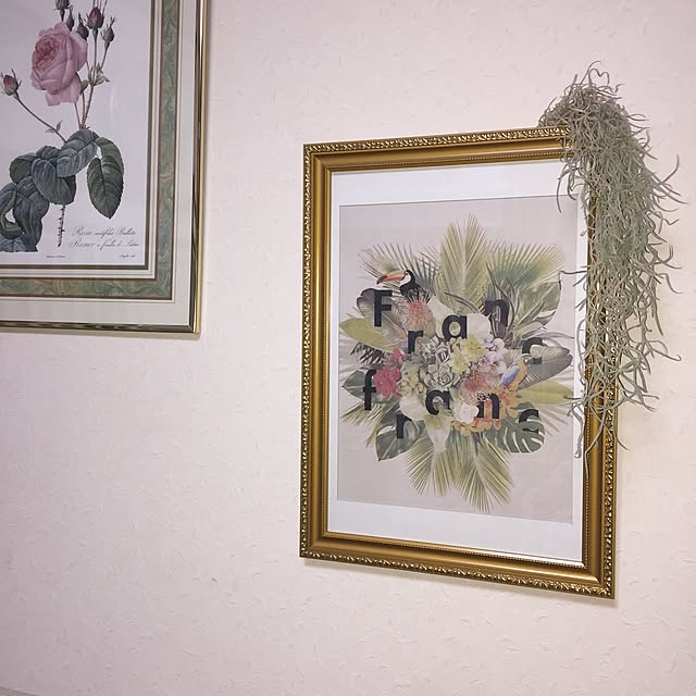 momonaさんの実例写真