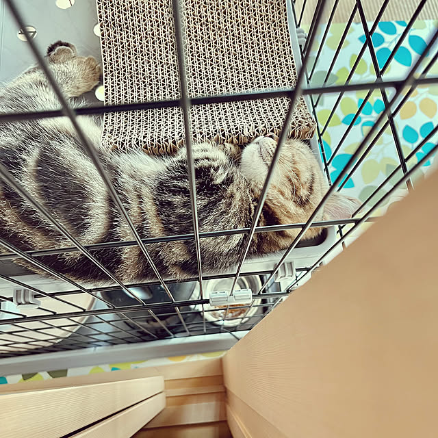 chiiさんの部屋