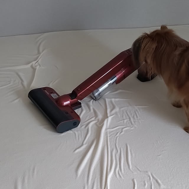 toratanさんの実例写真