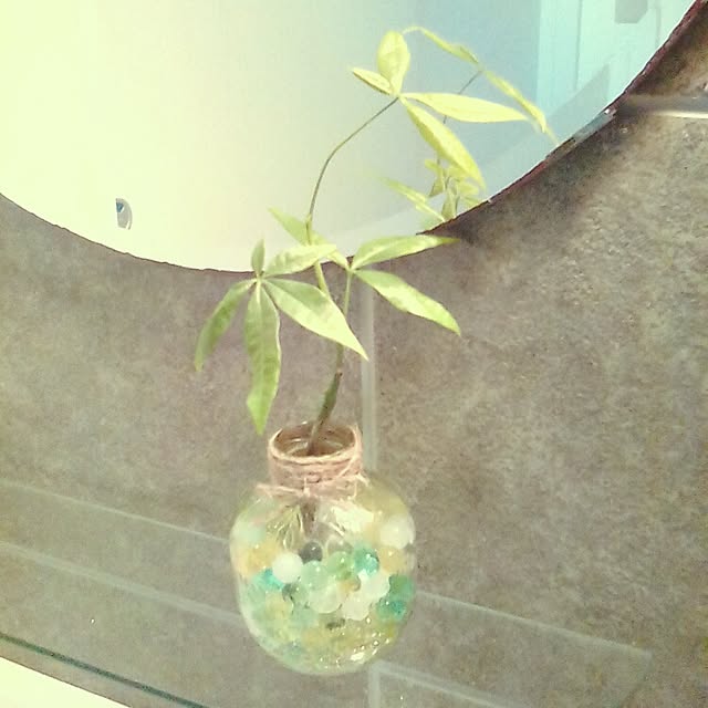 yoshikoさんの実例写真