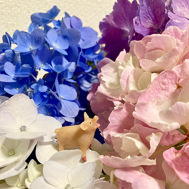 y---iさんの部屋