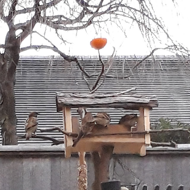 kazuraさんの実例写真