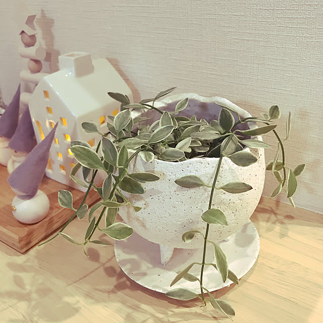 雑貨/ナチュラル/北欧/観葉植物/リビングのインテリア実例 - 2021-12-31 19:17:51