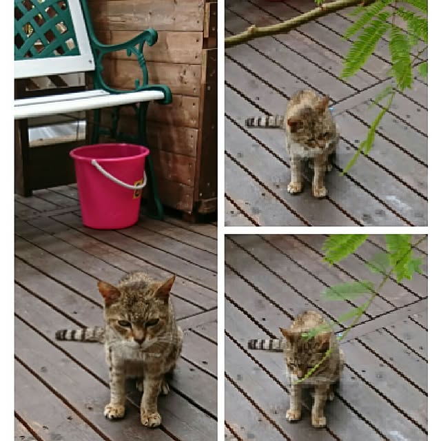 yuukyさんの実例写真