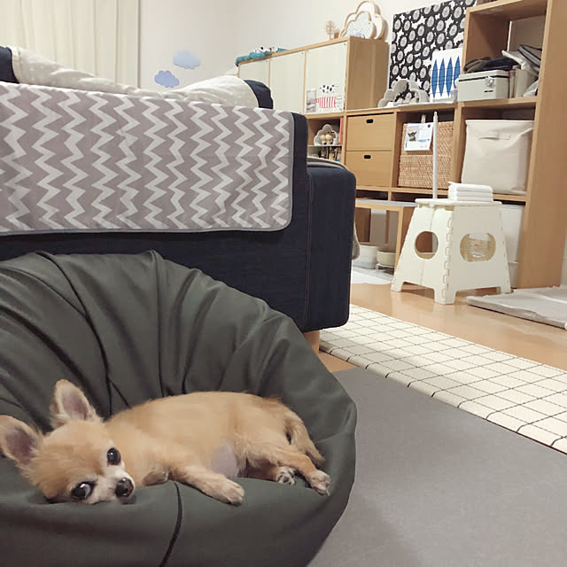 Emiさんの実例写真