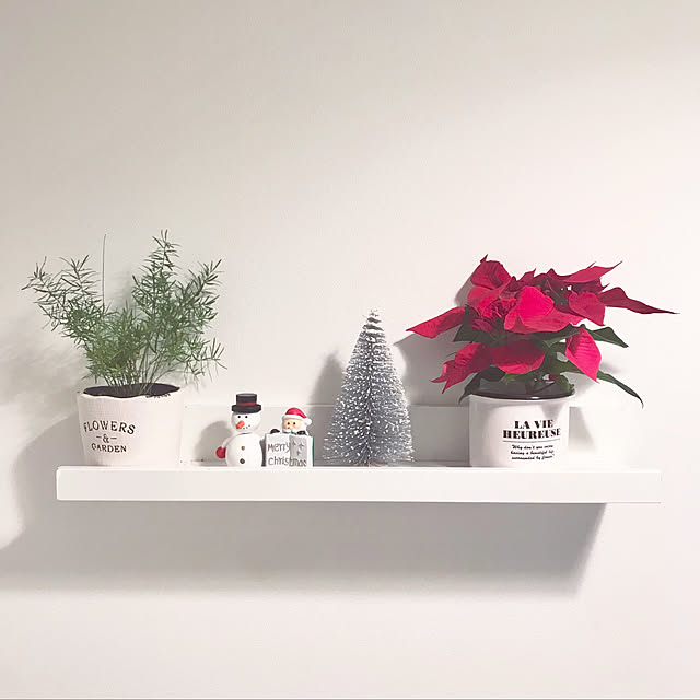 玄関/入り口/玄関/ポインセチア/IKEAの棚/IKEA...などのインテリア実例 - 2018-11-06 18:02:21