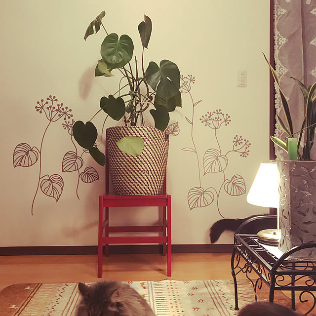 chiroさんの実例写真