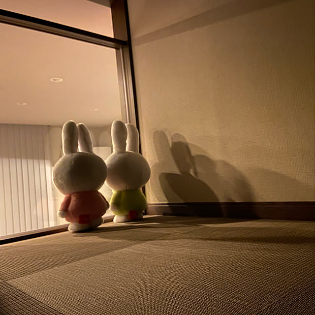 akaさんの実例写真