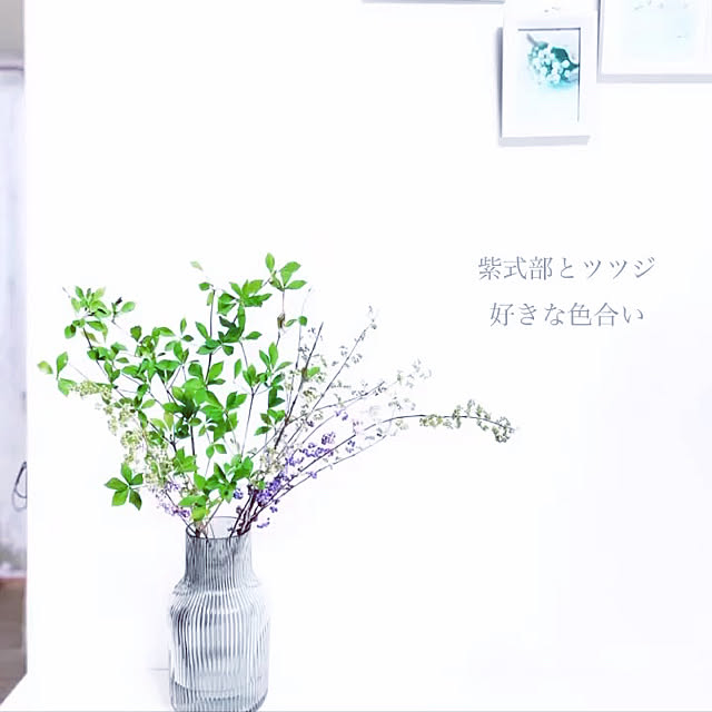 pocoさんの実例写真