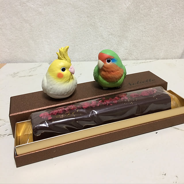 toratanさんの実例写真