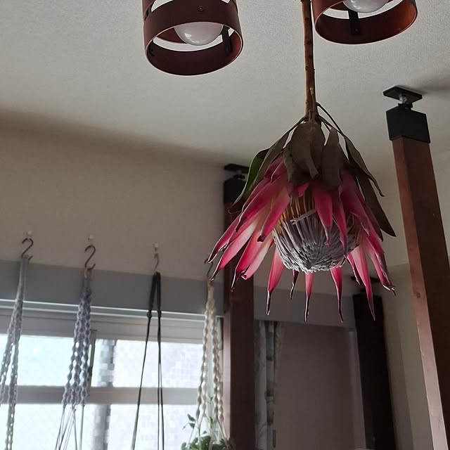 noaさんの部屋