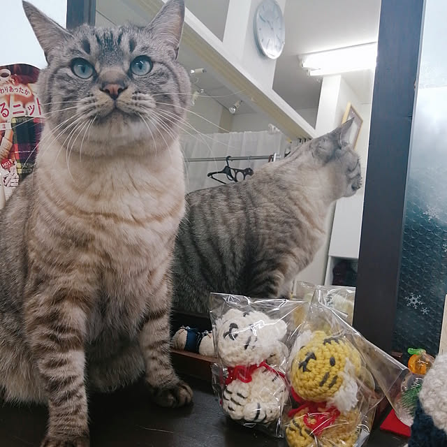 Manaさんの実例写真