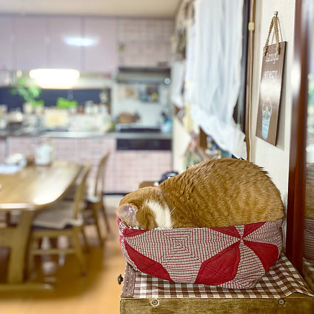cocomaroさんの実例写真