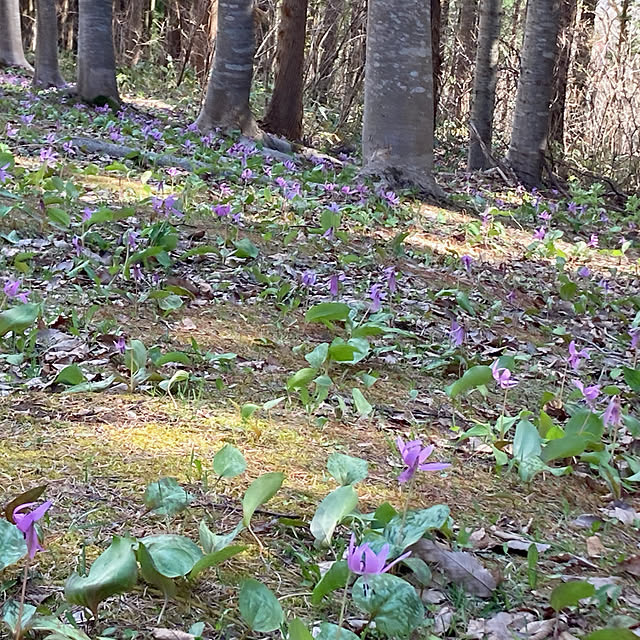 Megumiさんの部屋