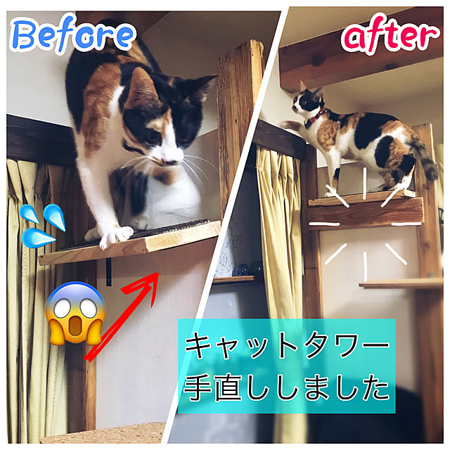 maroさんの実例写真