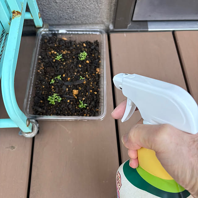 momocchiさんの部屋