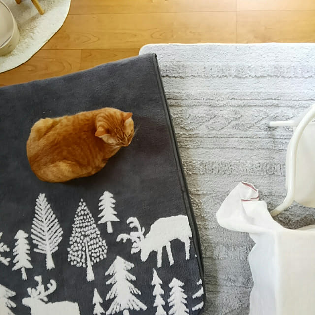 mayutan.さんの実例写真