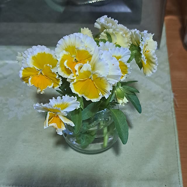 koupeimama.777さんの実例写真