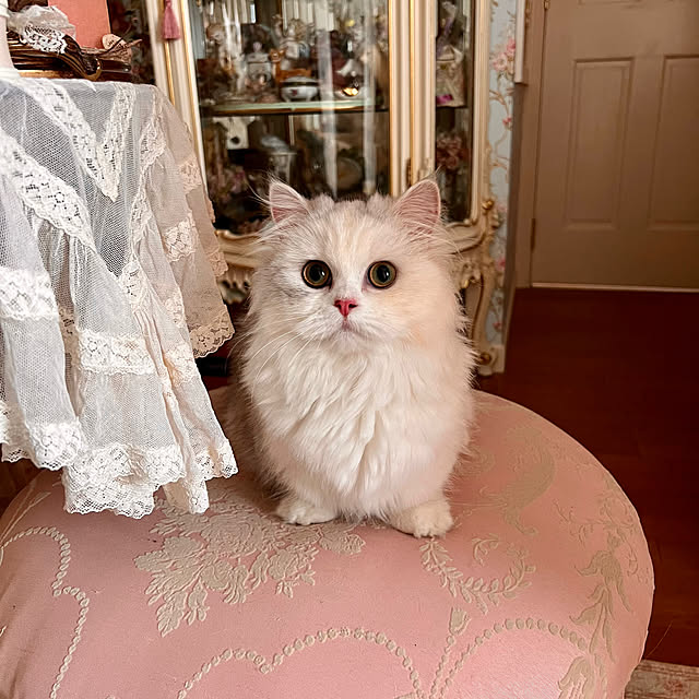 AYUKOさんの実例写真