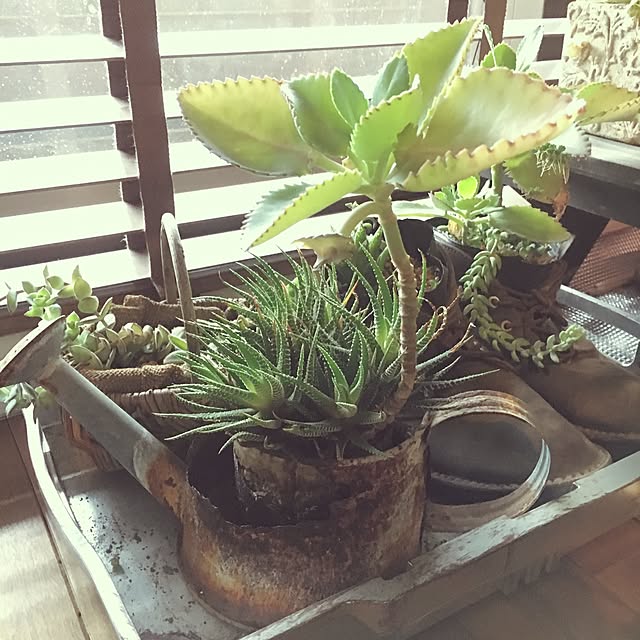kan2さんの実例写真