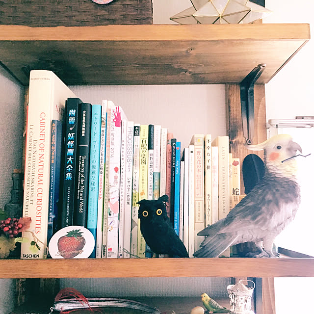 kouneさんの実例写真