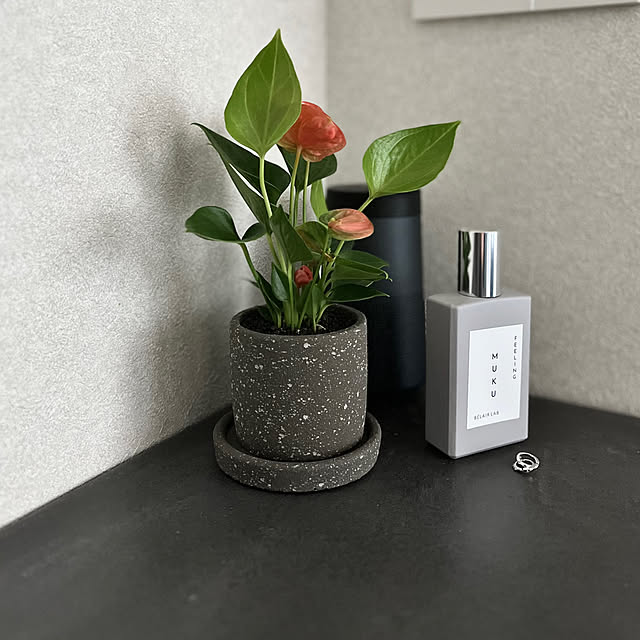 kt._homeさんの部屋