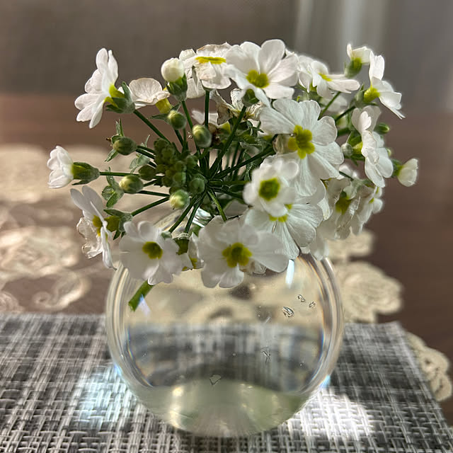 fumikoiさんの実例写真