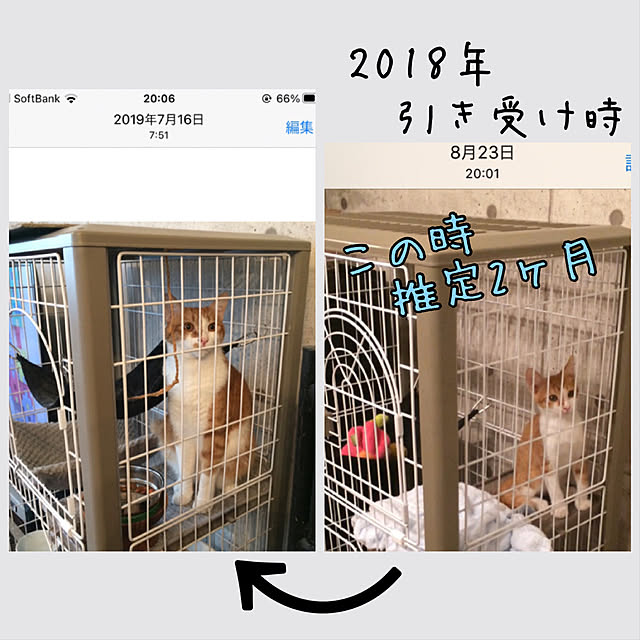 mako2yaさんの実例写真