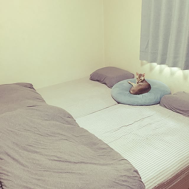Miinicoさんの実例写真