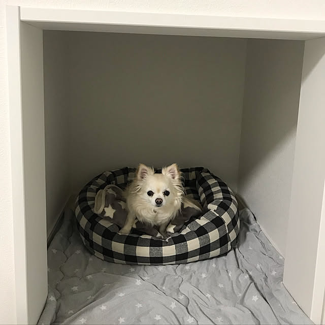 Yumehinaさんの実例写真