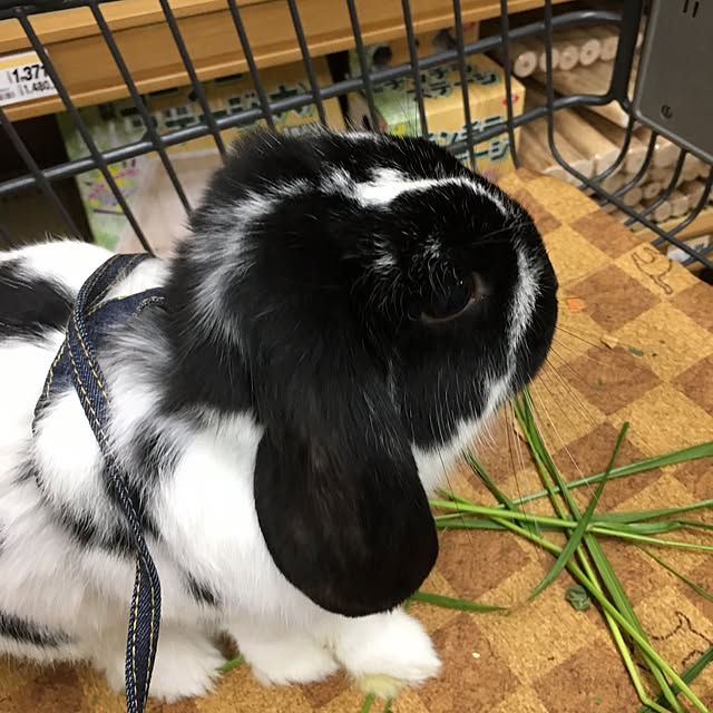 mana1021さんの実例写真