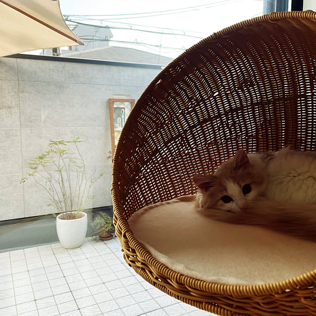 lovecofさんの実例写真