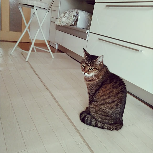 lilyさんの実例写真