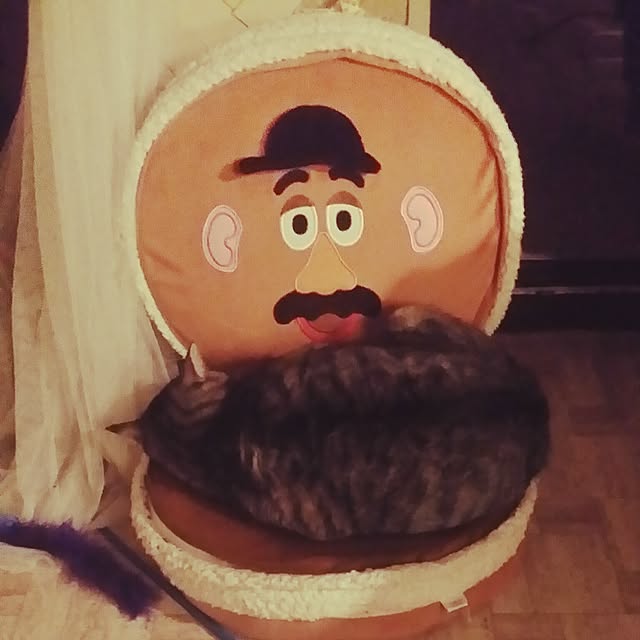 annさんの実例写真