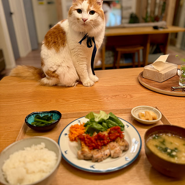 yutaさんの部屋