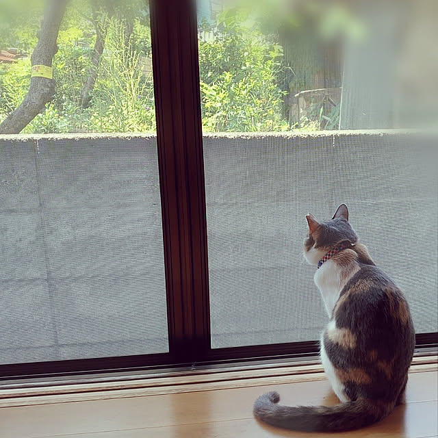 fukuさんの実例写真