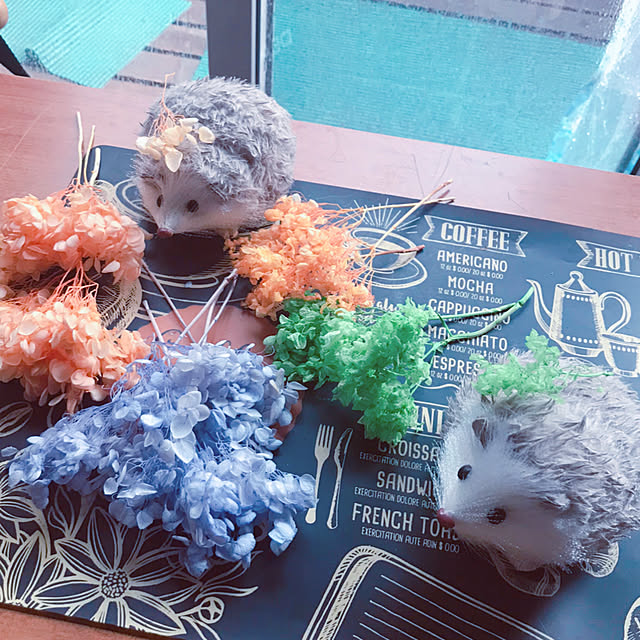 portulacaさんの実例写真
