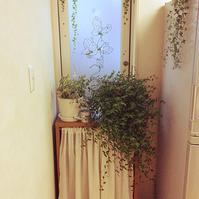 Setukoさんの実例写真