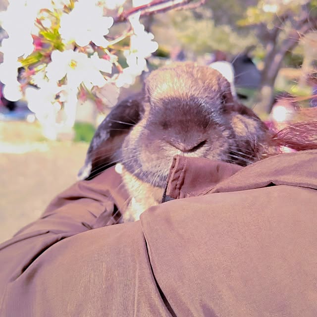 mariaさんの部屋
