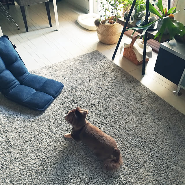 rikakoさんの実例写真