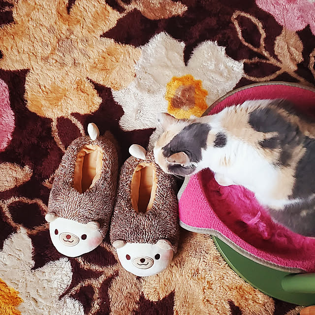 kumutanさんの実例写真