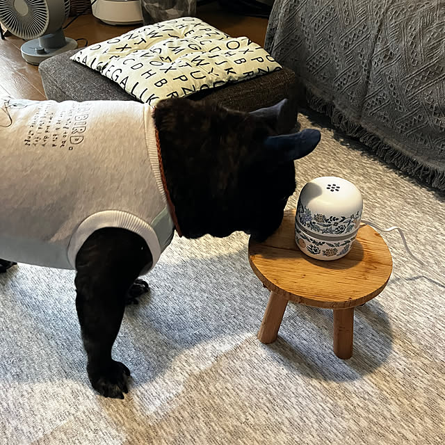 kagomamaさんの部屋