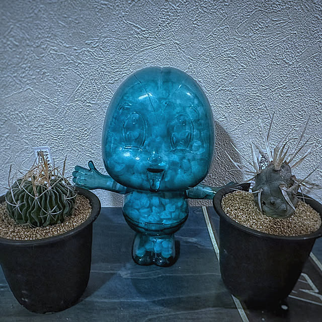 floydさんの実例写真