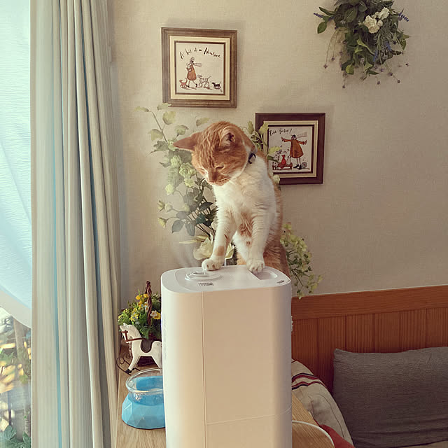 chakuron.iさんの実例写真